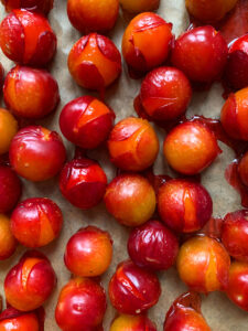 Wildpflaumen_01 wilde Mirabellen, im Backofen geröstet